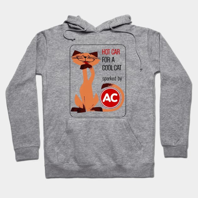 Hot Car for a Cool Cat Hoodie by DCMiller01